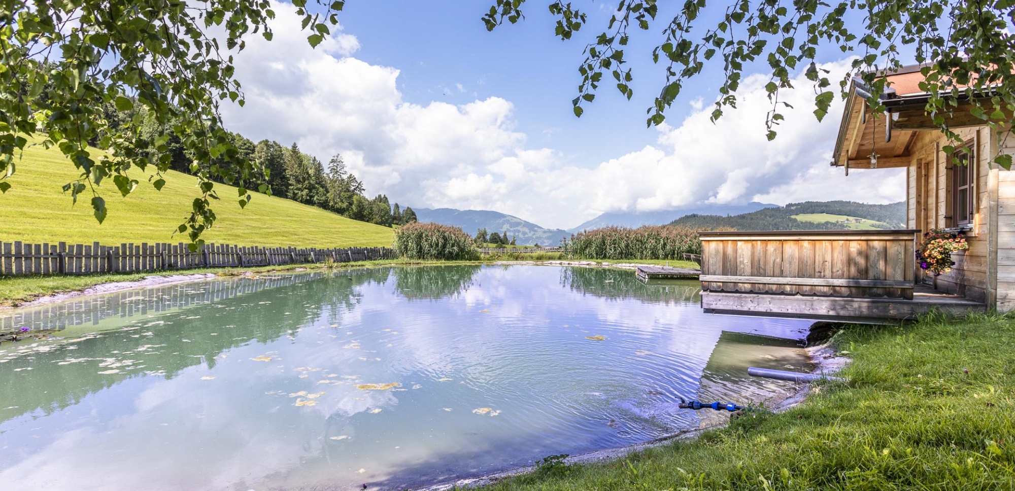 Sommerparadies am Lankmannhof