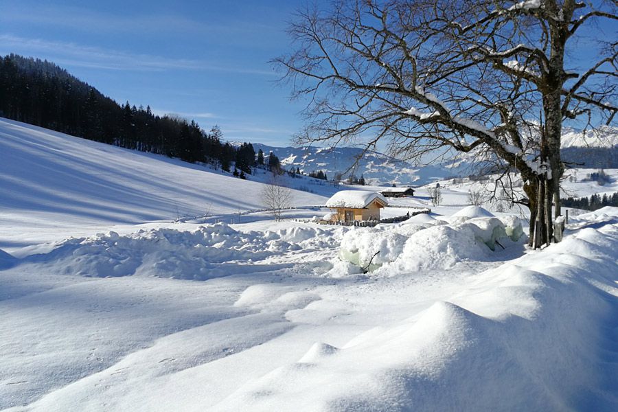 Maria Alm am Hochknig - mehr Fremde als Einheimische Am Fue des Maria Alm liegt eingebettet zwischen den Hohen Tauern, dem Steinernen Meer und dem Wer Glck hat, kann auch das SV-Team beim Training treffen! Von ihm erfhrt man alles ber die Region, seine Leute und auch ber Urlaub in Maria Alm am Hochknig - Hier wohnt das Glck
